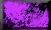 BTN04355.GIF
