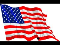 USAFLAGE.BMP