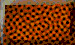 BTN04264.GIF