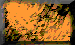 BTN04208.GIF