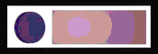 BTN03884.GIF