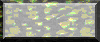 BTN03572.GIF