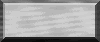 BTN03555.GIF