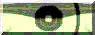 BTN03456.GIF