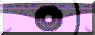 BTN03306.GIF
