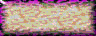 BTN03088.GIF