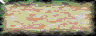 BTN02971.GIF