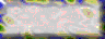 BTN02954.GIF