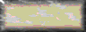 BTN02948.GIF