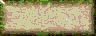 BTN02939.GIF