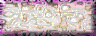 BTN02931.GIF