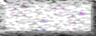 BTN02809.GIF
