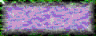 BTN02787.GIF