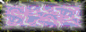 BTN02781.GIF