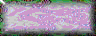 BTN02775.GIF