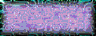 BTN02673.GIF