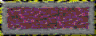 BTN01738.GIF