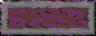 BTN01731.GIF
