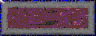BTN01619.GIF