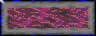 BTN01575.GIF