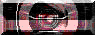 BTN01392.GIF