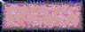 BTN01342.GIF