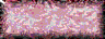 BTN01339.GIF