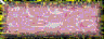BTN01338.GIF