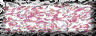 BTN01334.GIF