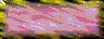 BTN01302.GIF