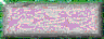 BTN01189.GIF