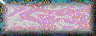 BTN01144.GIF