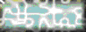 BTN00863.GIF