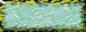 BTN00857.GIF