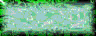 BTN00730.GIF