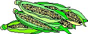 CORN.WMF