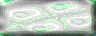 BTN00431.GIF
