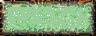 BTN00280.GIF