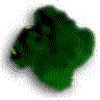 3BTN311.GIF