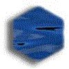 3BTN272.GIF