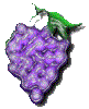 3BTN251.GIF