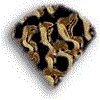 3BTN230.GIF