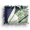 3BTN202.GIF