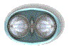 3BTN167.GIF