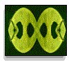 3BTN123.GIF