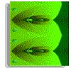 3BTN116.GIF
