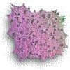 3BTN087.GIF