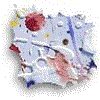 3BTN081.GIF