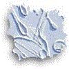3BTN080.GIF