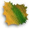 3BTN077.GIF